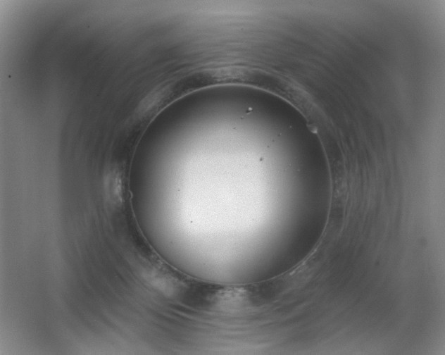 X0000064720124200602101134