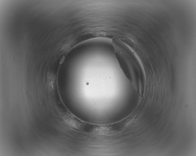 X0000064720125200602101134