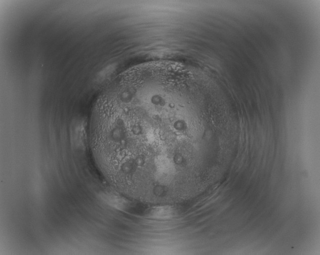 X0000064720127200602101134