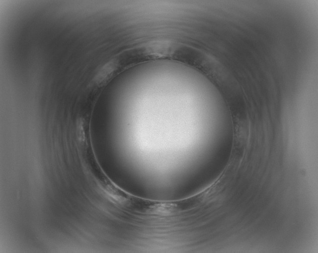 X0000064720128200602101134