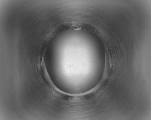 X0000064720129200602101134