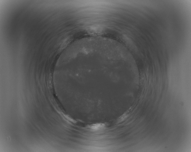 X0000064720130200602101134