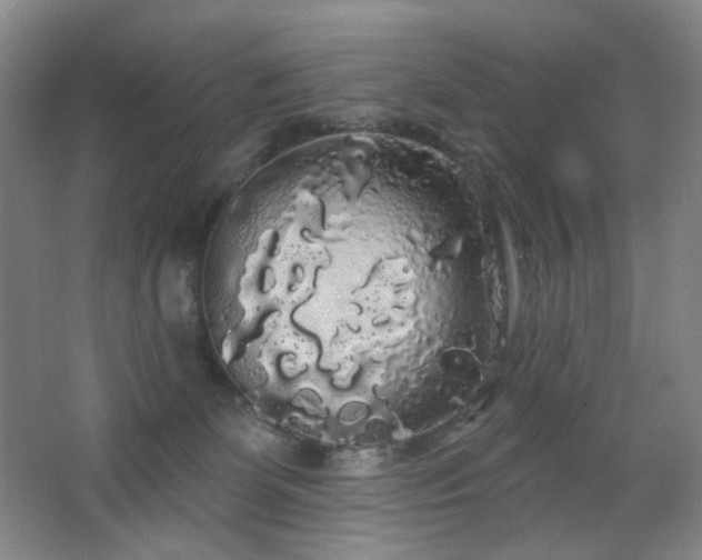 X0000064720131200602101134