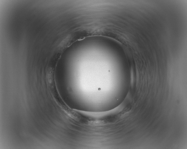 X0000064720133200602101134