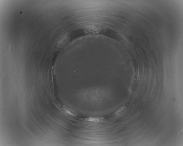 X0000064720134200602101134