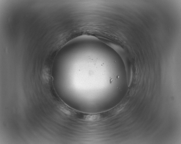 X0000064720135200602101134