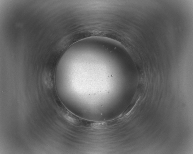 X0000064720136200602101134