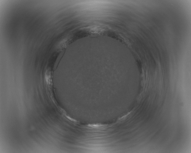 X0000064720137200602101134