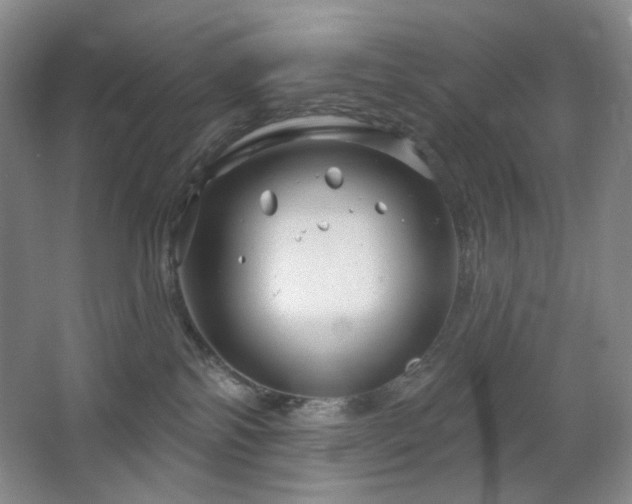 X0000064720138200602101134