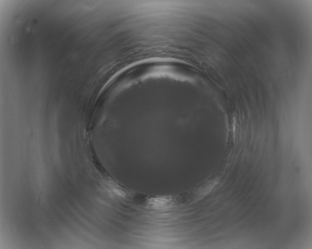 X0000064720139200602101133