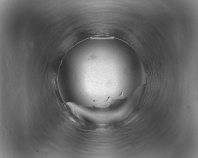 X0000064720141200602101133