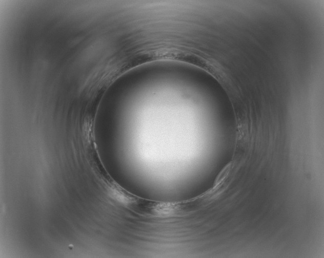 X0000064720142200602101133