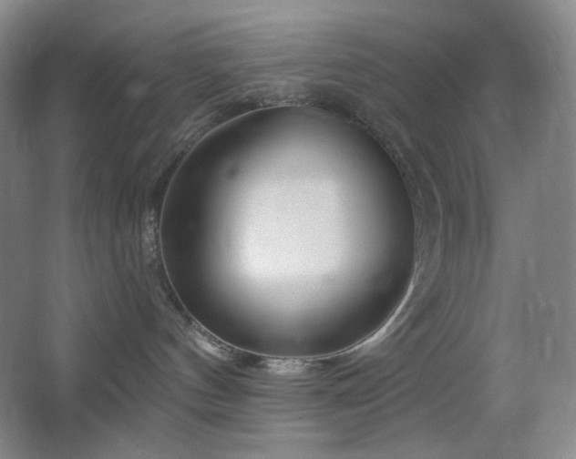 X0000064720144200602101133