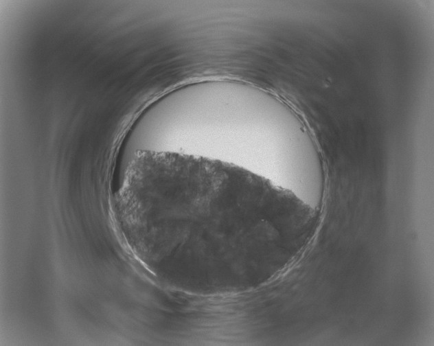 X0000064720145200602101133