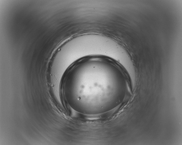 X0000064720146200602101133