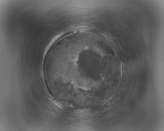 X0000064720147200602101133