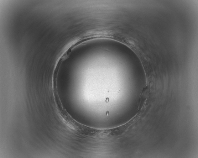 X0000064720148200602101133