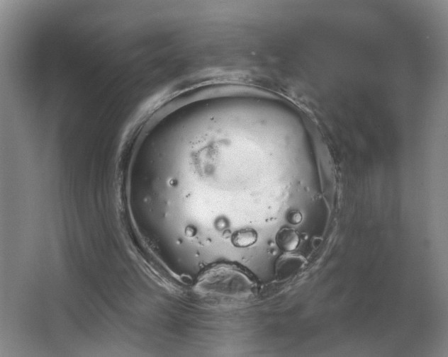 X0000064720149200602101133