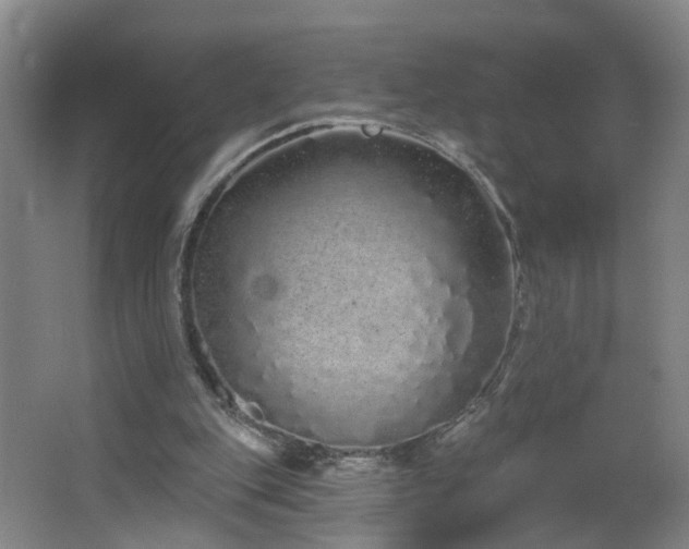 X0000064720151200602101133