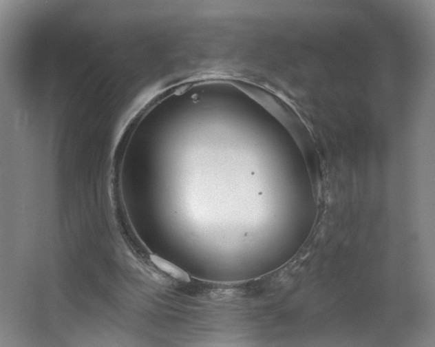 X0000064720152200602101133