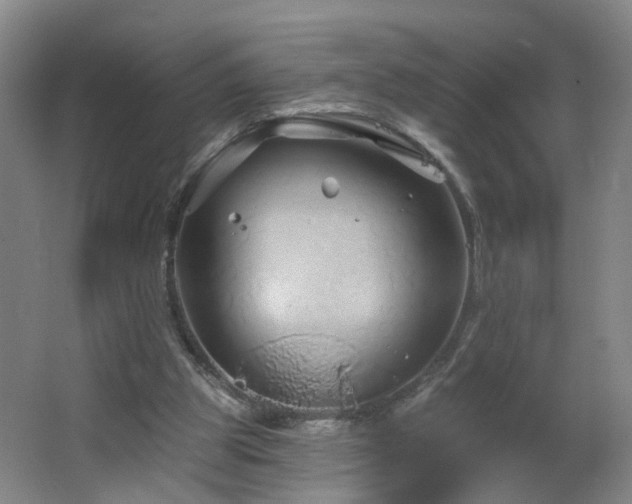 X0000064720153200602101133