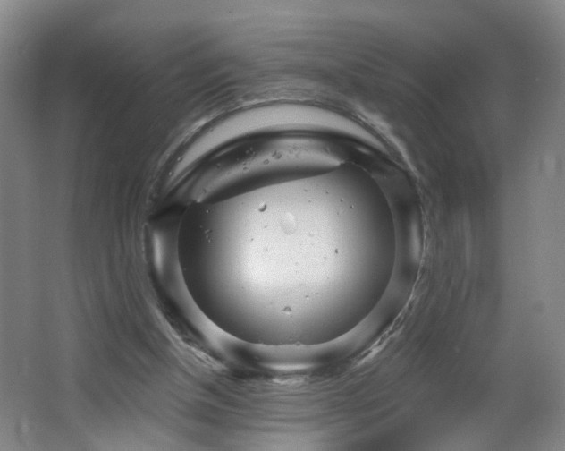 X0000064720154200602101133