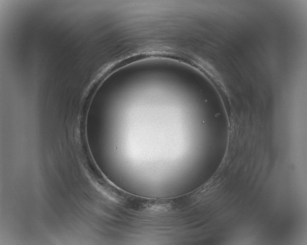 X0000064720155200602101133