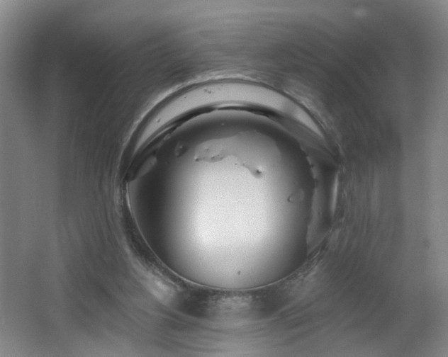 X0000064720156200602101133