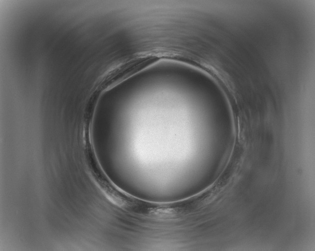 X0000064720157200602101133