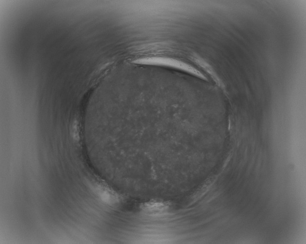 X0000064720161200602101133