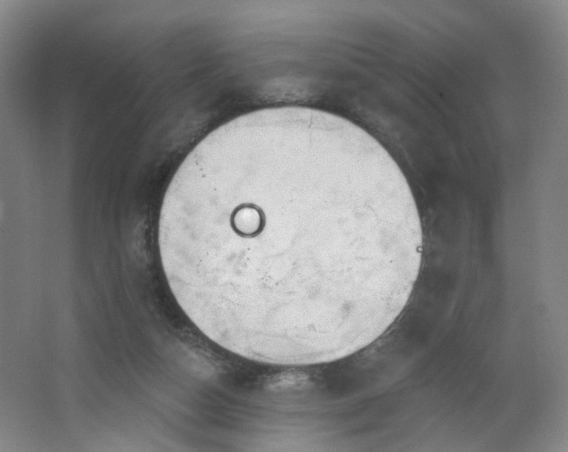 X0000064720162200602101133