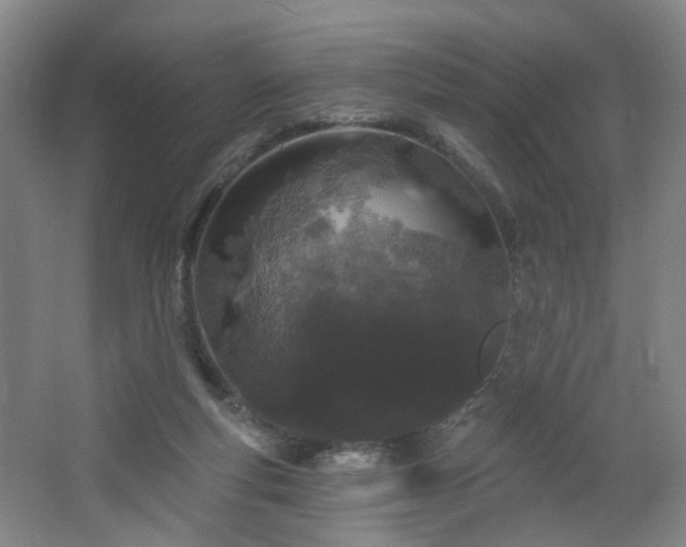 X0000064720163200602101133