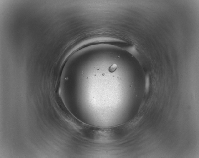 X0000064720164200602101133