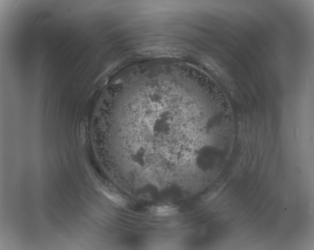 X0000064720165200602101133