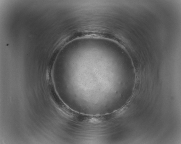 X0000064720166200602101133