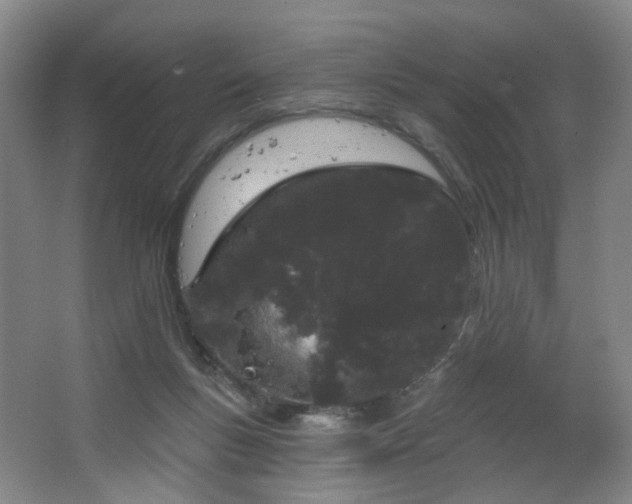 X0000064720167200602101133