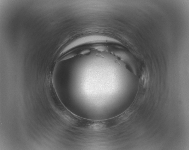 X0000064720168200602101133