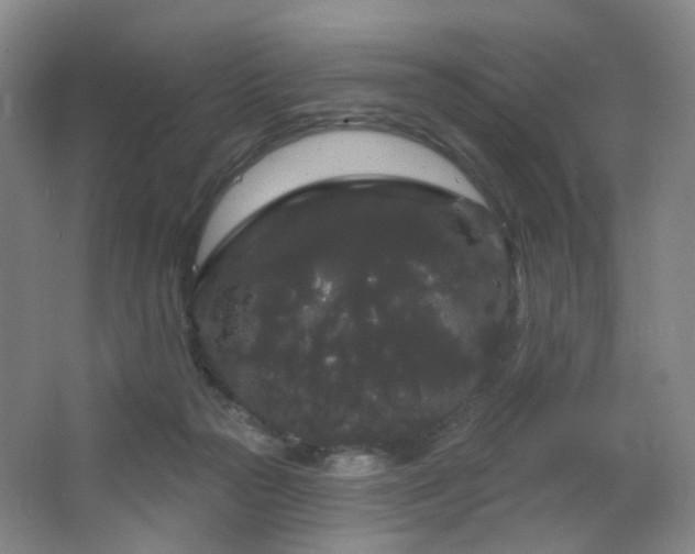 X0000064720169200602101133