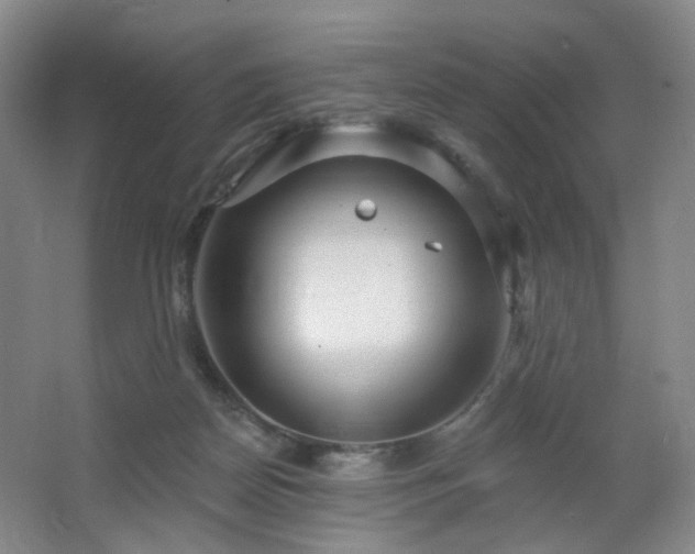 X0000064720170200602101133