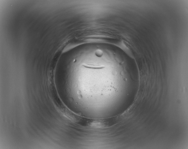 X0000064720171200602101133