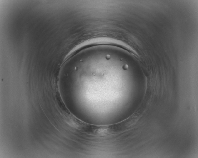 X0000064720173200602101133