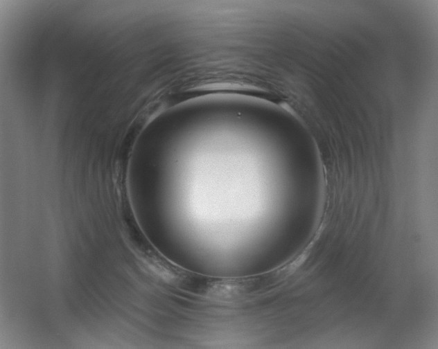 X0000064720174200602101133