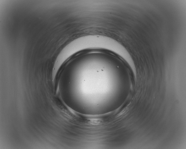 X0000064720176200602101133