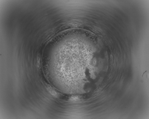 X0000064720177200602101133