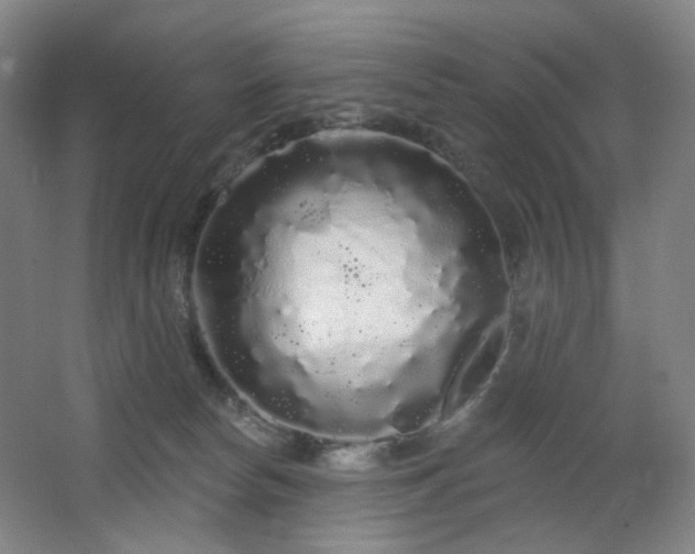 X0000064720178200602101133