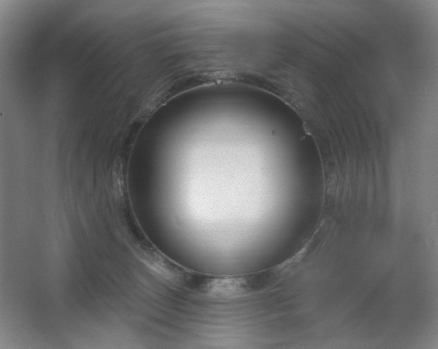 X0000064720179200602101133