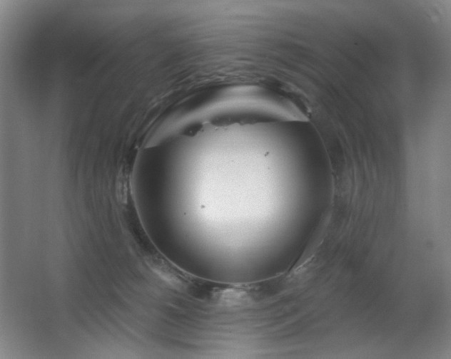 X0000064720180200602101133