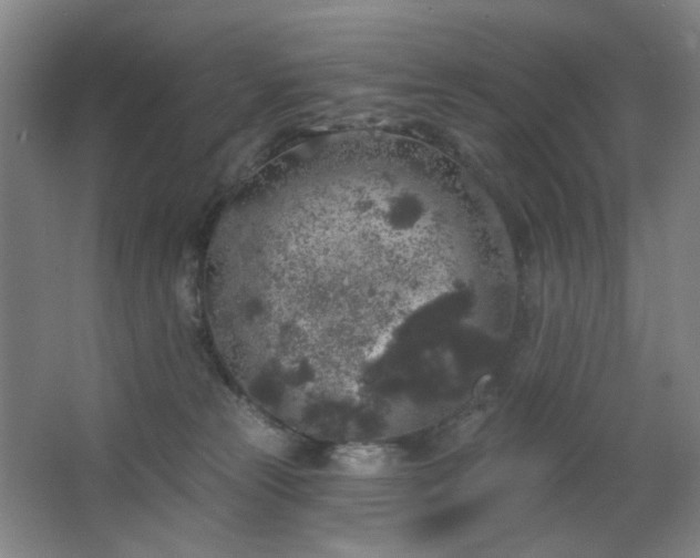 X0000064720181200602101133