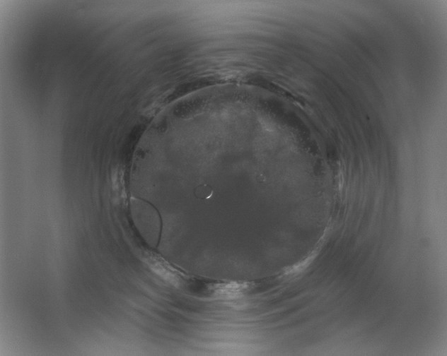 X0000064720182200602101133