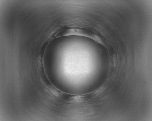 X0000064720184200602101133